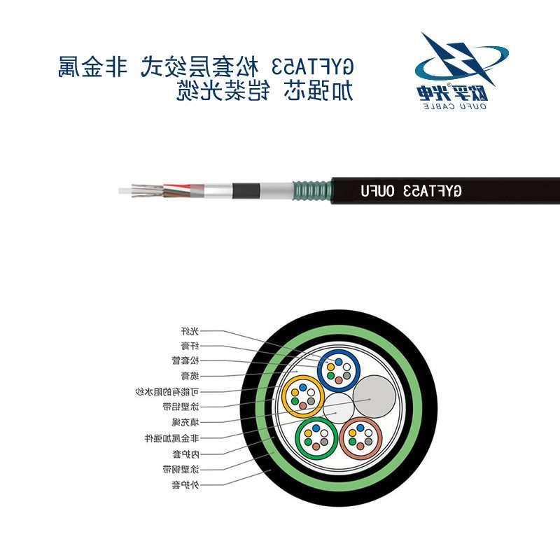 彰化县GYFTA53光缆